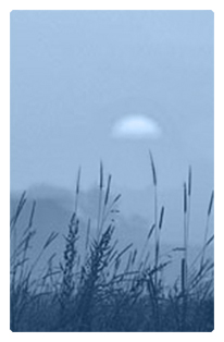 DF35T 334 BL Harvest Sunrise Blue